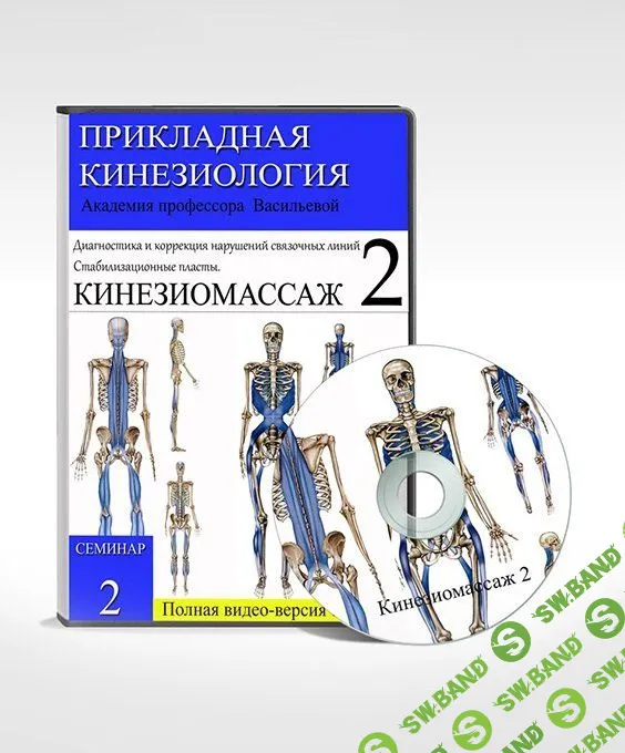 [Людмила Васильева] КИНЕЗИОМАССАЖ 2. Семинар. Связочные нарушения