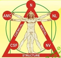 [Людмила Васильева] Лекция 3-го курса Академии прикладной кинезиологии проф. Васильевой Л.Ф