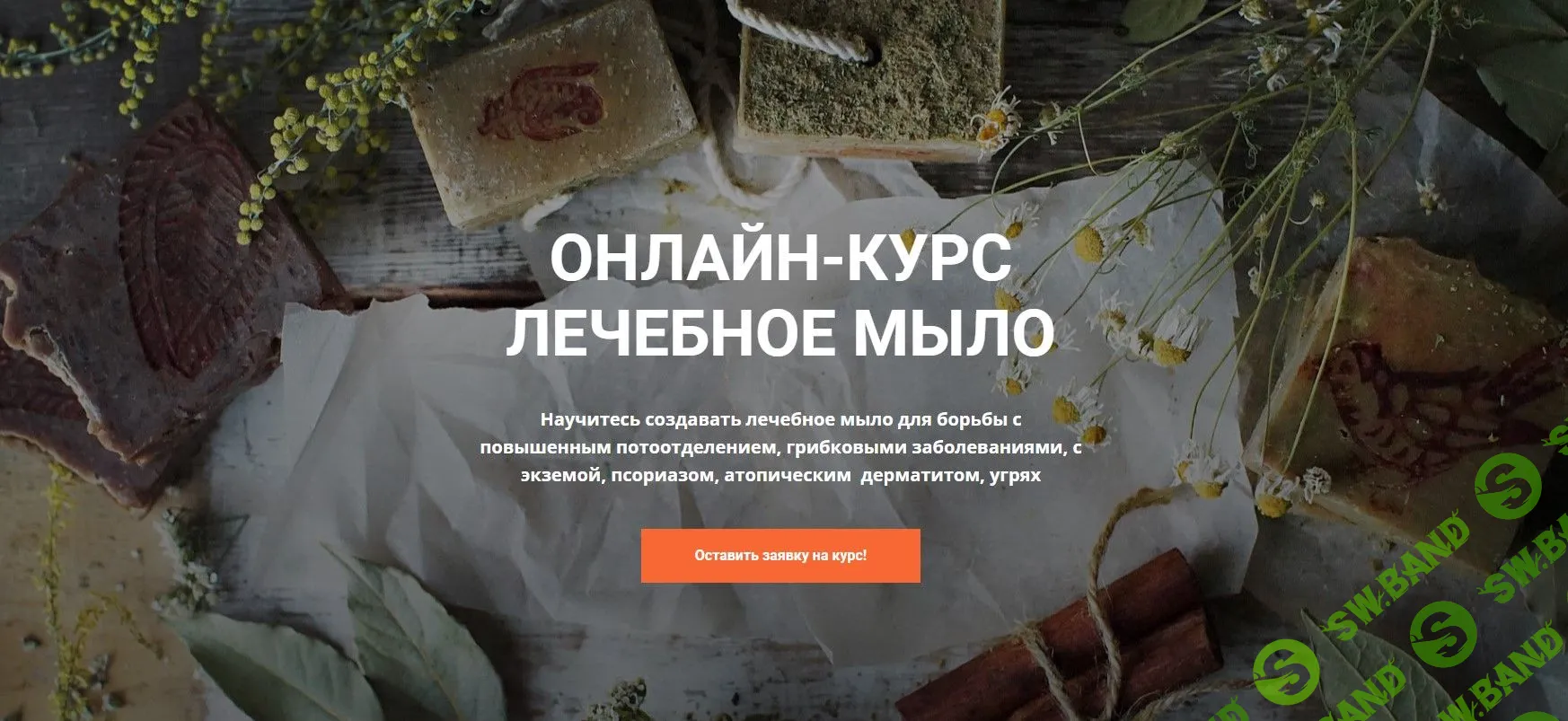 [Лора Самкова] Лечебное мыло (2022)