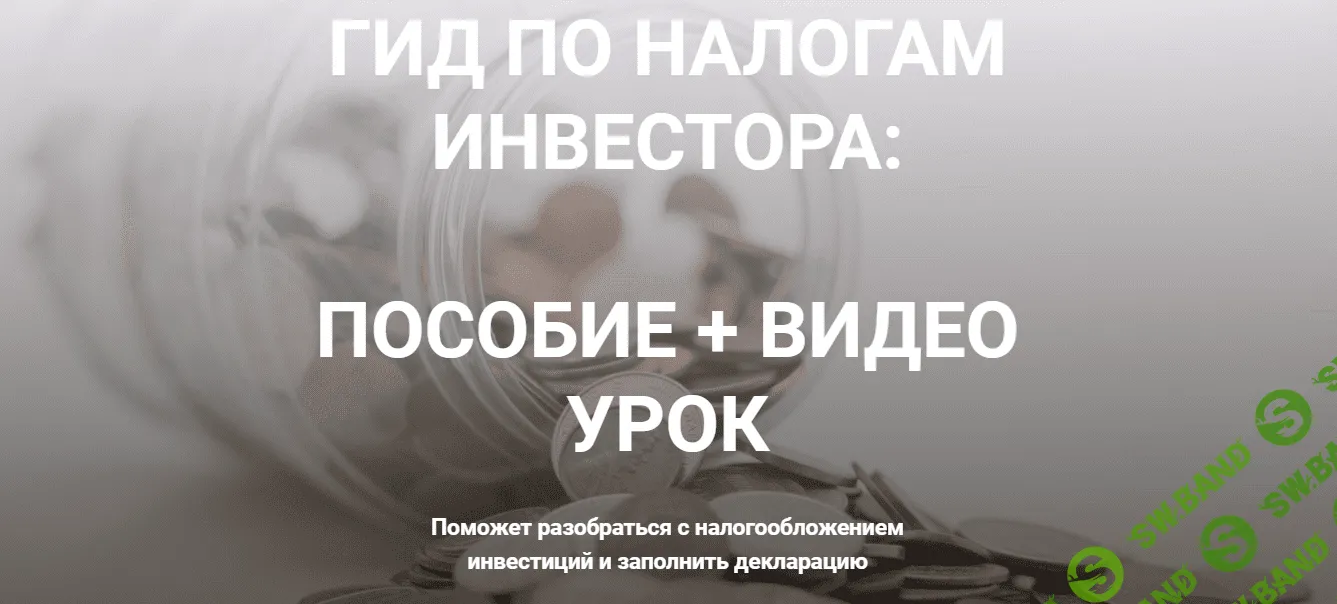 [Луиза Кононыхина] Гид по налогам инвестора (2021)