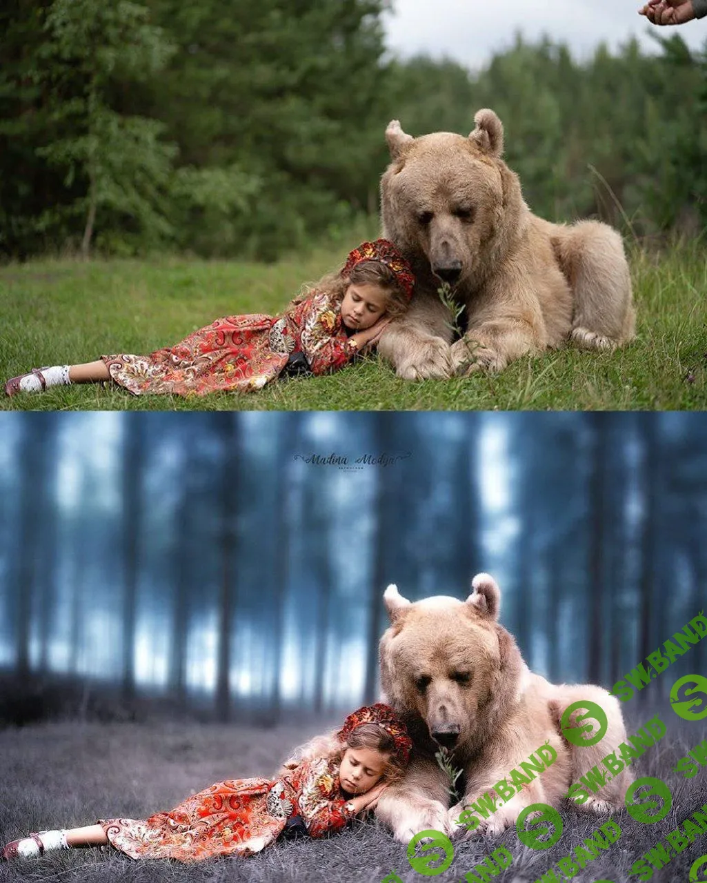 [Мадина Ахтаева] Набор из 5 видеокурсов по ретуши (2019)