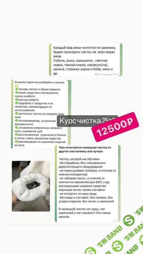 [Magicfur School] Чистка меха (2023)