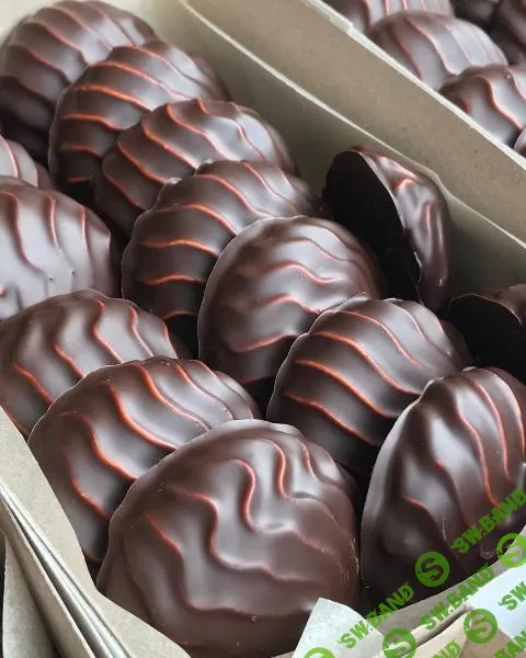 [Макеева Галина] Зефир в шоколаде (2019)