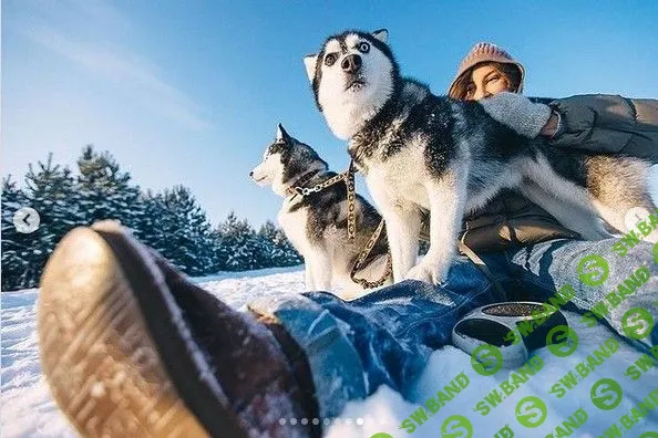 [Максим Добрый] Univer 11 (2022)