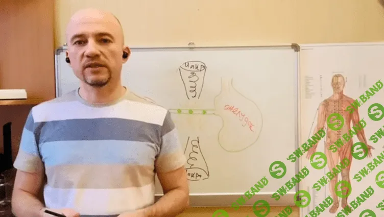 [Максим Мальцев] Доступная кинезиология II. Многомерный баланс человека (2022)