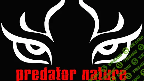 [Максим Степанов] Основы защиты против ударов и захватов! Уверенность хищника!