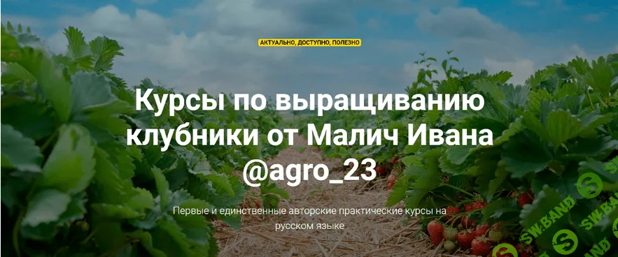 [Малич Иван] Курсы по выращиванию клубники (2020)