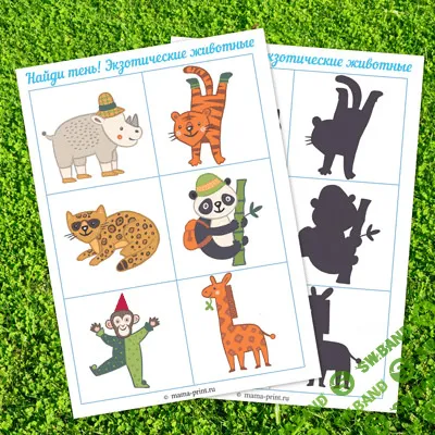[Mama-print] Найди тень. Экзотические животные (2017)