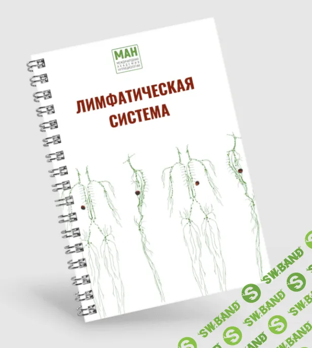 [МАН] Гайд по работе с лимфой + Экспресс-диагностика. Витамины и Минералы (2024)