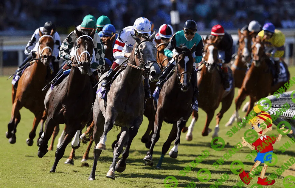 Мануал по заработку на скачках.