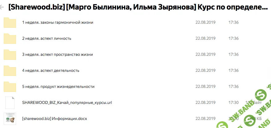 [Марго Былинина, Ильма Зырянова] Курс по определению ниши. Золотая версия тебя