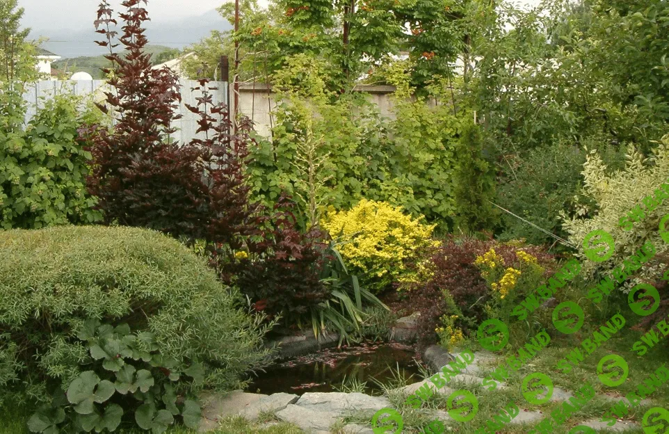 [Мария Газнюк] Экосад без затрат за 7 уроков