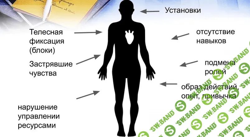 [Мария Ковалева] Метод Универсальных Трансформаций (2021)
