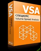 [Мария Максимова] Спецкурс по VSA