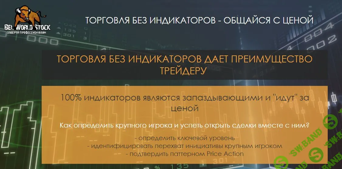 [Мария Максимова] Уровень начинающий. Перехват инициативы в рынке