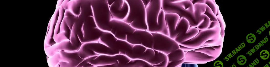 [Мария Моргунова] Нутрициология головного мозга (2022)