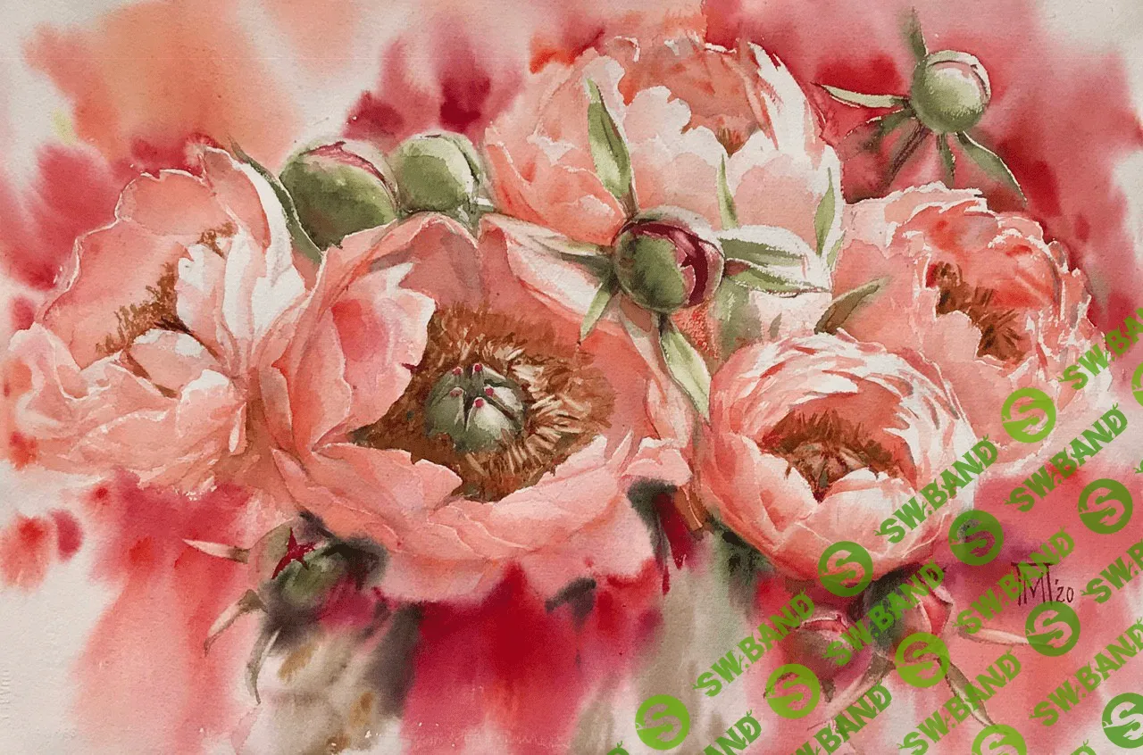 [Мария Павлова] Пионы акварелью сорт Coral Sharm (2020)