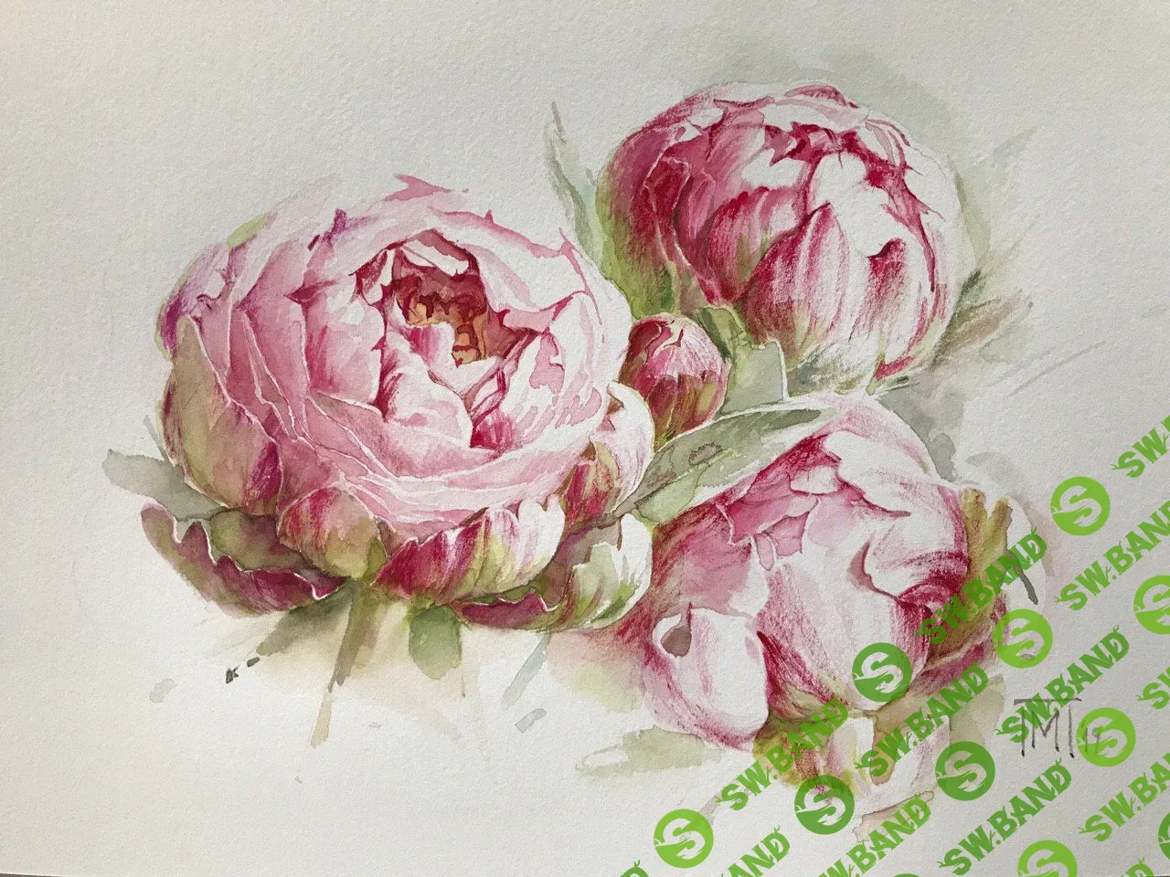 [Мария Павлова] Розовые пионы акварелью (2018)