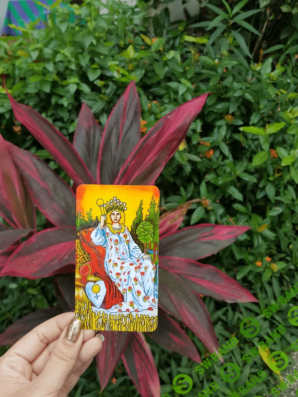 [Мария Пиро] Деньги в картах таро (2020)