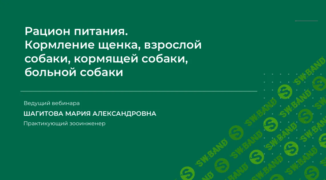 [Мария Шагитова] Кормление щенка, взрослой собаки, кормящей собаки, больной собаки (2024)