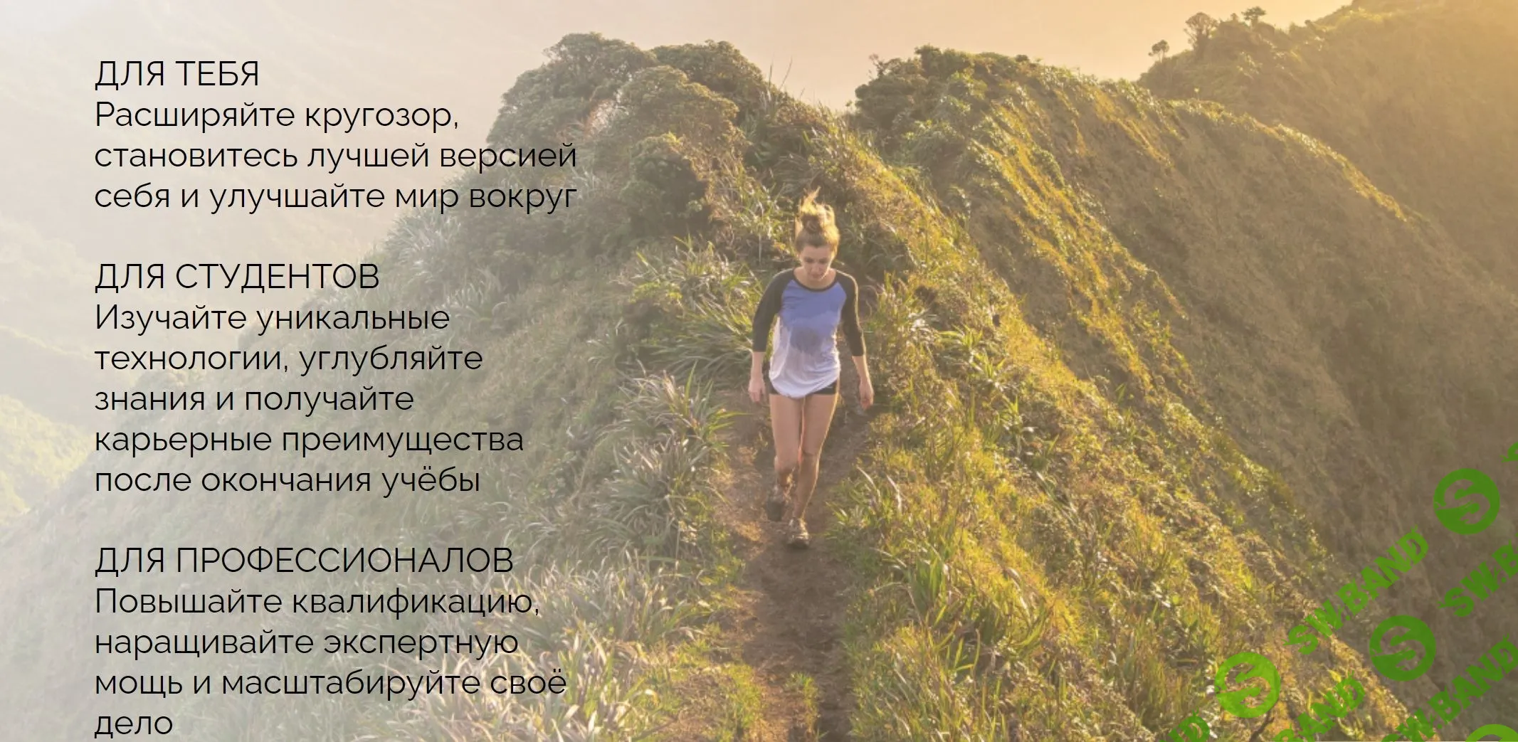 [Мария Волкова] Самый полезный бокс о питании (2023)