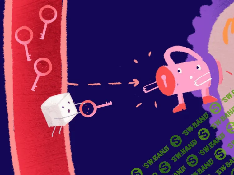 [Мария Вовк] Теоретический курс питания при акне (2023)