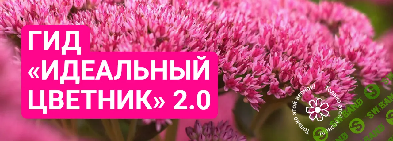 [Марина Берестова] Гид «Идеальный цветник» 2.0 (2024)