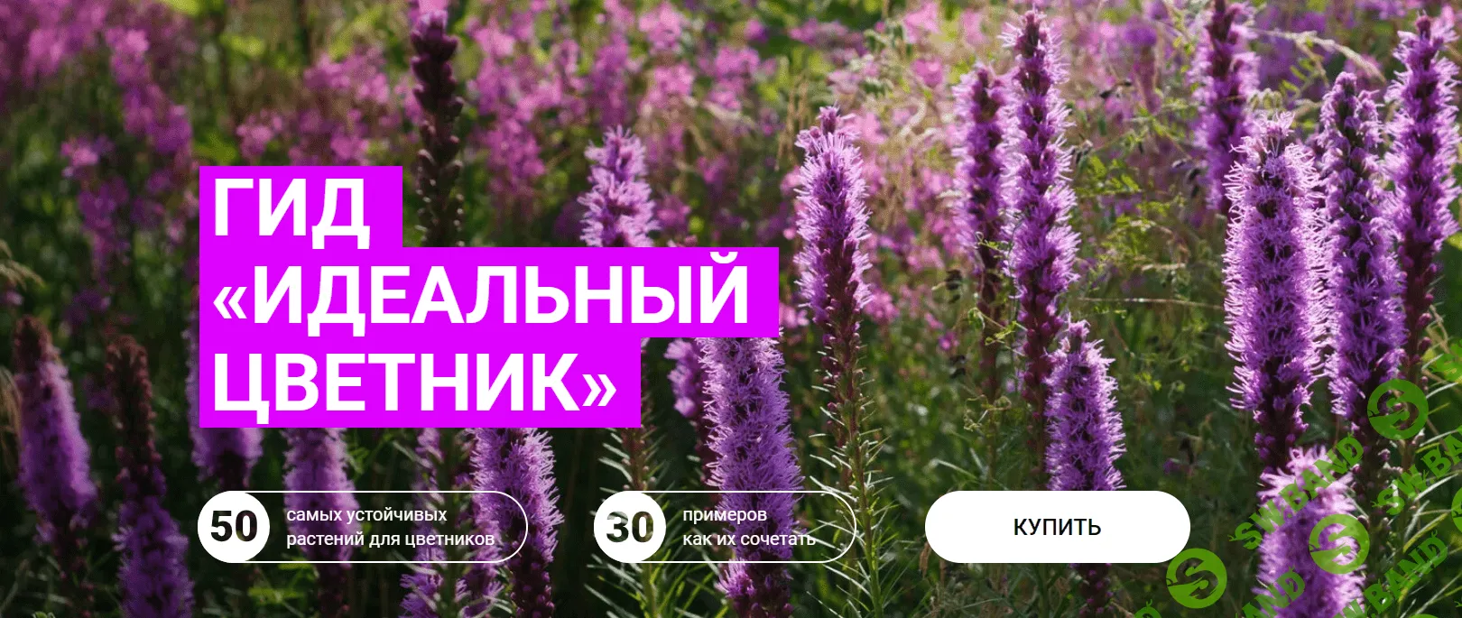 [Марина Берестова] Гид «Идеальный цветник» (2023)