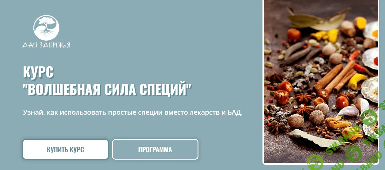 [Марина Гарбузова] Волшебная сила специй (2022)