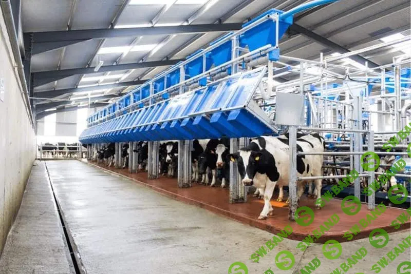 [Марина Меньщикова] Организация работы на ферме (2022)