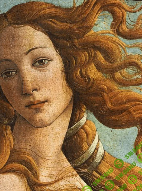 [Марьяна Романова] Рождение Афродиты. Практика об осознании женской силы и красоты (2024)