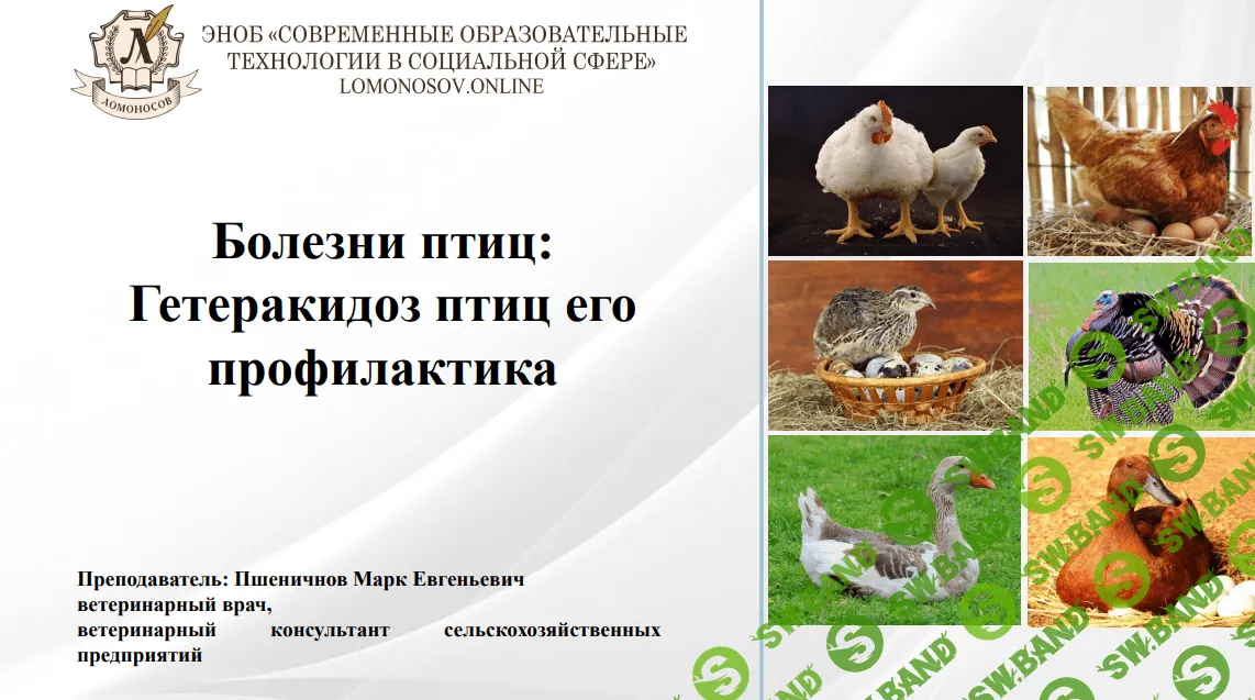 [Марк Пшеничнов] Болезни птиц - Гетеракидоз птиц и его профилактика (2023)