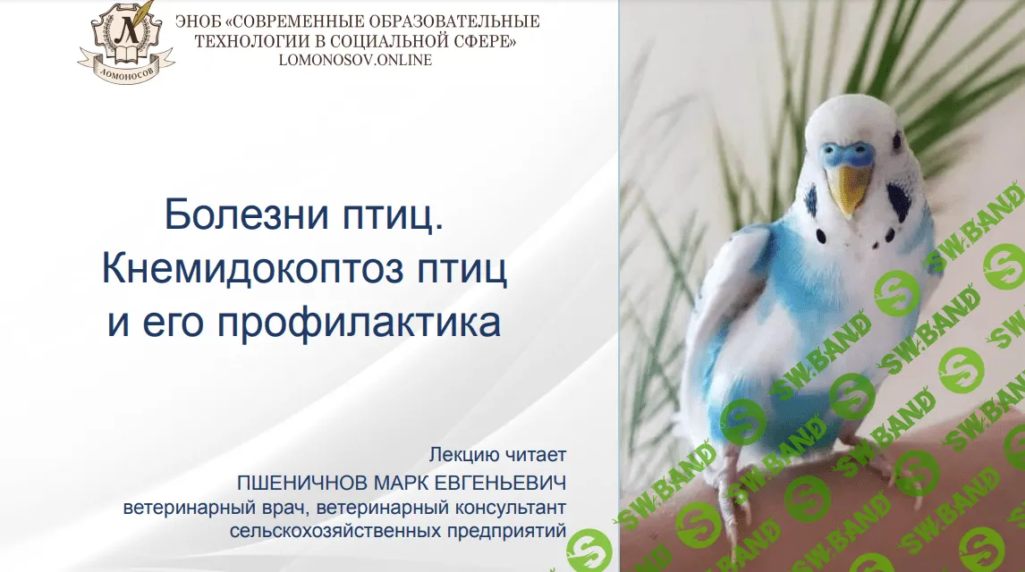 [Марк Пшеничнов] Болезни птиц - Кнемидокоптоз птиц и его профилактика (2023)