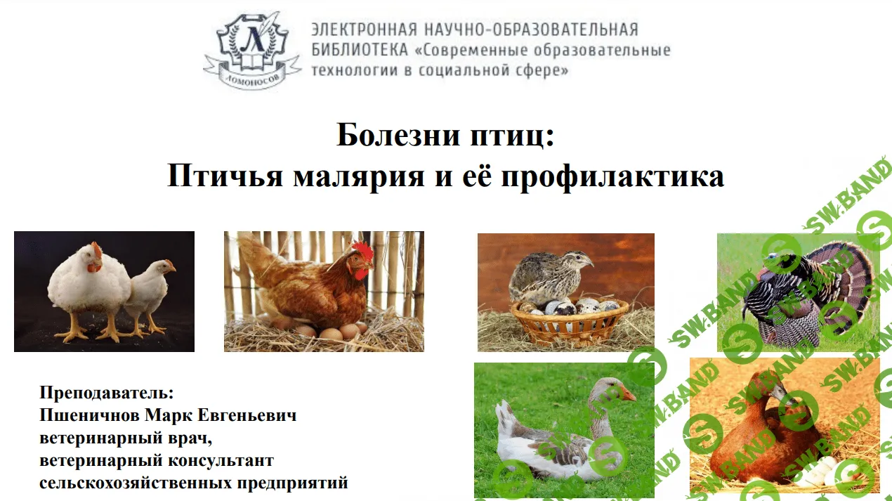[Марк Пшеничнов] Болезни птиц - Птичья малярия и её профилактика (2023)