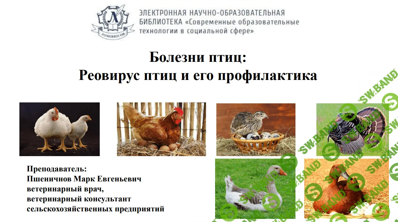 [Марк Пшеничнов] Болезни птиц - Реовирус птицы его профилактика (2023)
