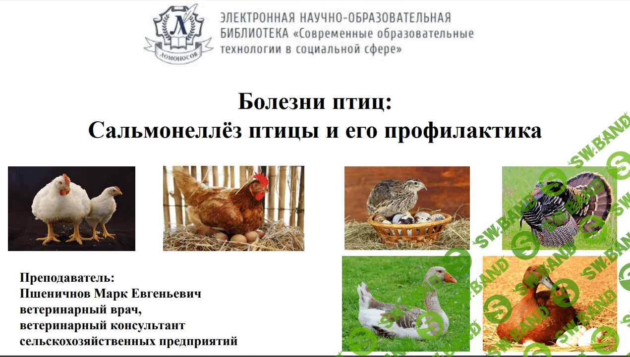 [Марк Пшеничнов] Болезни птиц - Сальмонеллез птицы его профилактика (2023)