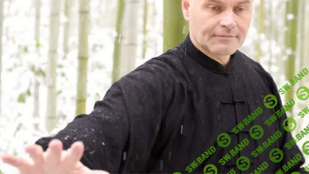 [Марк Расмус] Базовые энергии внутренних боевых искусств (2023)