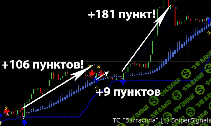 [Mark X] Торговая система Barracuda