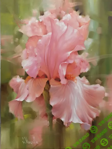 [Марсель Сингатуллин] Розовый ирис (2021)