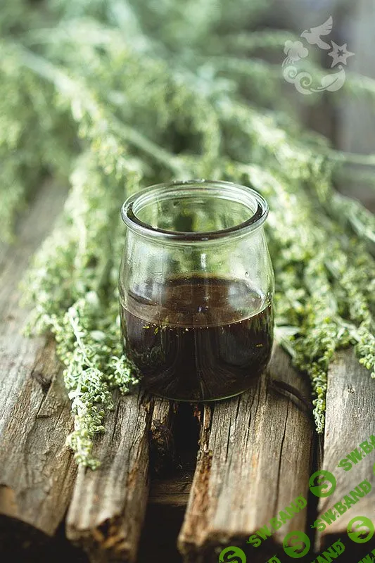 [Маша Разнер] Мацераты круглый год (2019)