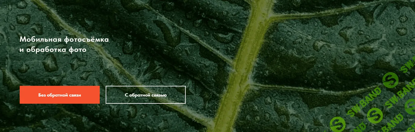 [mashafotoblog] Мобильная фотосъемка и обработка фото (2023)