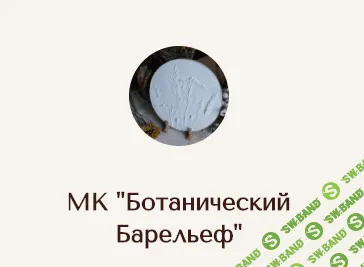 [Master_&_Polina] Ботанический барельеф (2023)