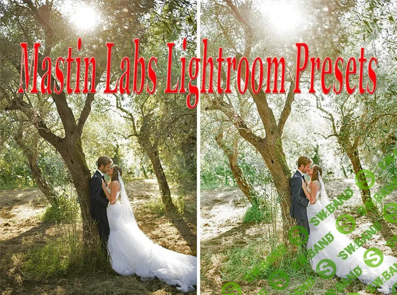 [mastinlabs] Эффект пленочной фотографии в Lightroom