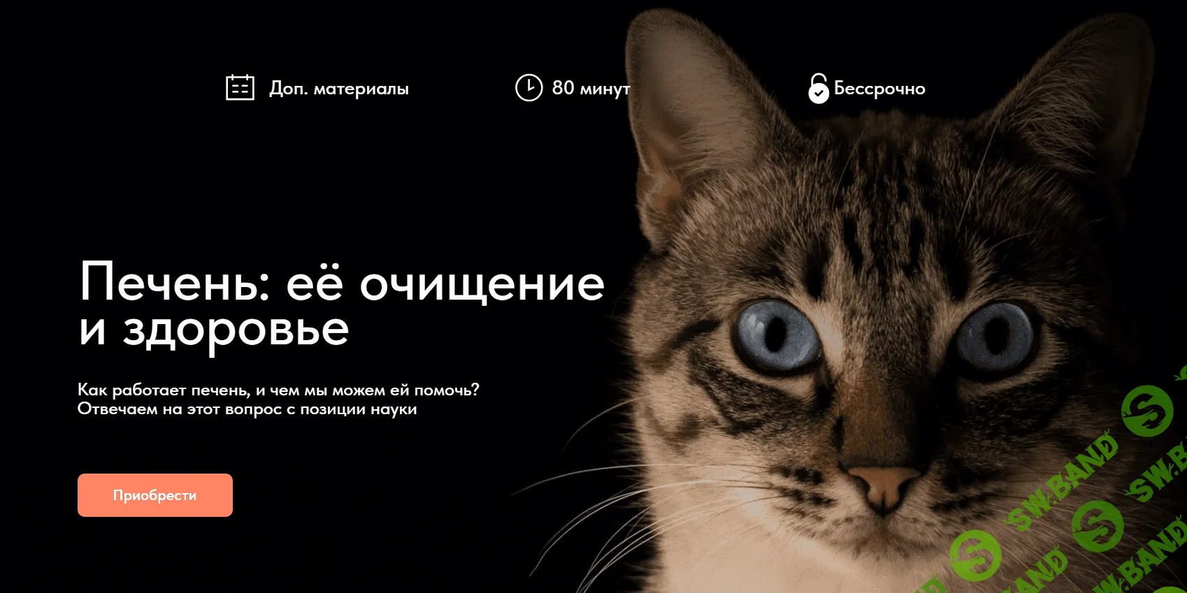 [Матвей Смирнов] Печень - её очищение и здоровье (2024)