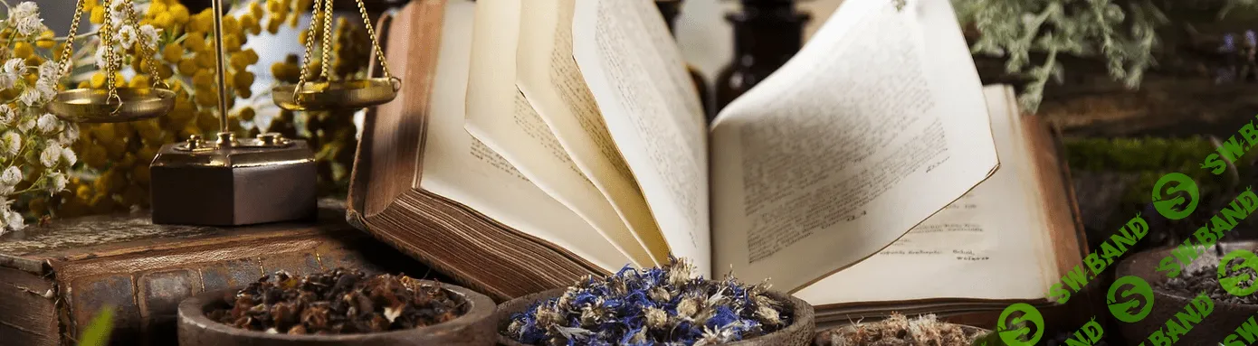 [Медвежий угол] 100 главных трав Руси (2023)