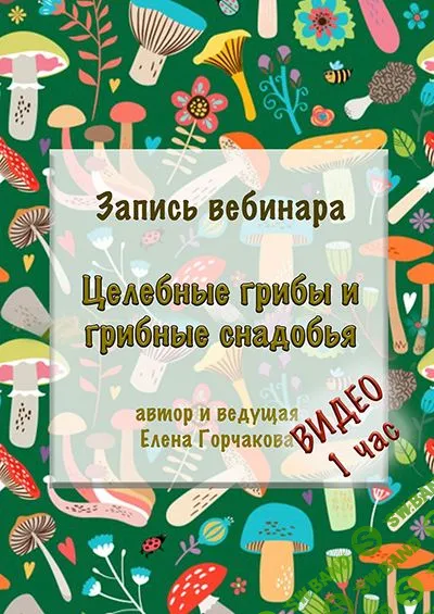[Медвежий угол] Целебные грибы и грибные снадобья (2023)