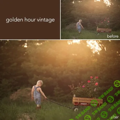 [Meg Loeks] Пресеты коллекции Dawn от Мэг Лоукс