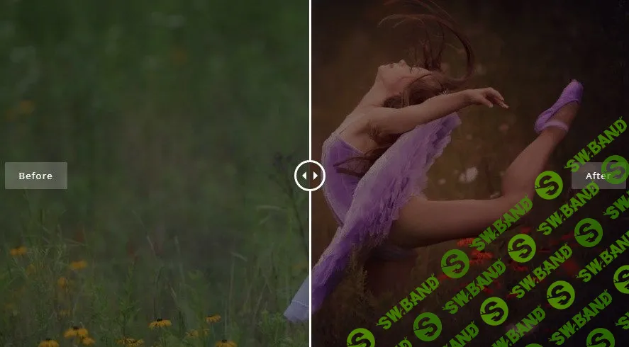 [Мэг Биттон] The Dancer