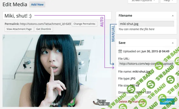 [meowapps] Media File Renamer Pro v4.0.3