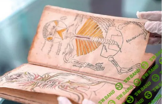 Мера всех вещей — как боги и люди творили мир по своему подобию.Лекция 2 [Архэ] [Анна Гребенников]